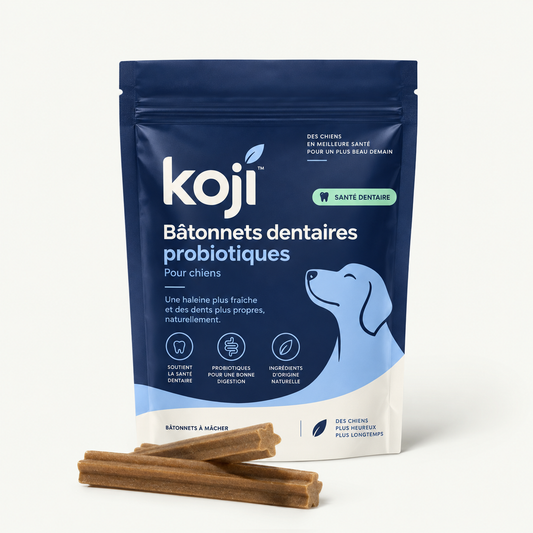 Bâtonnets dentaires prébiotiques – Contre la plaque dentaire et la mauvaise haleine