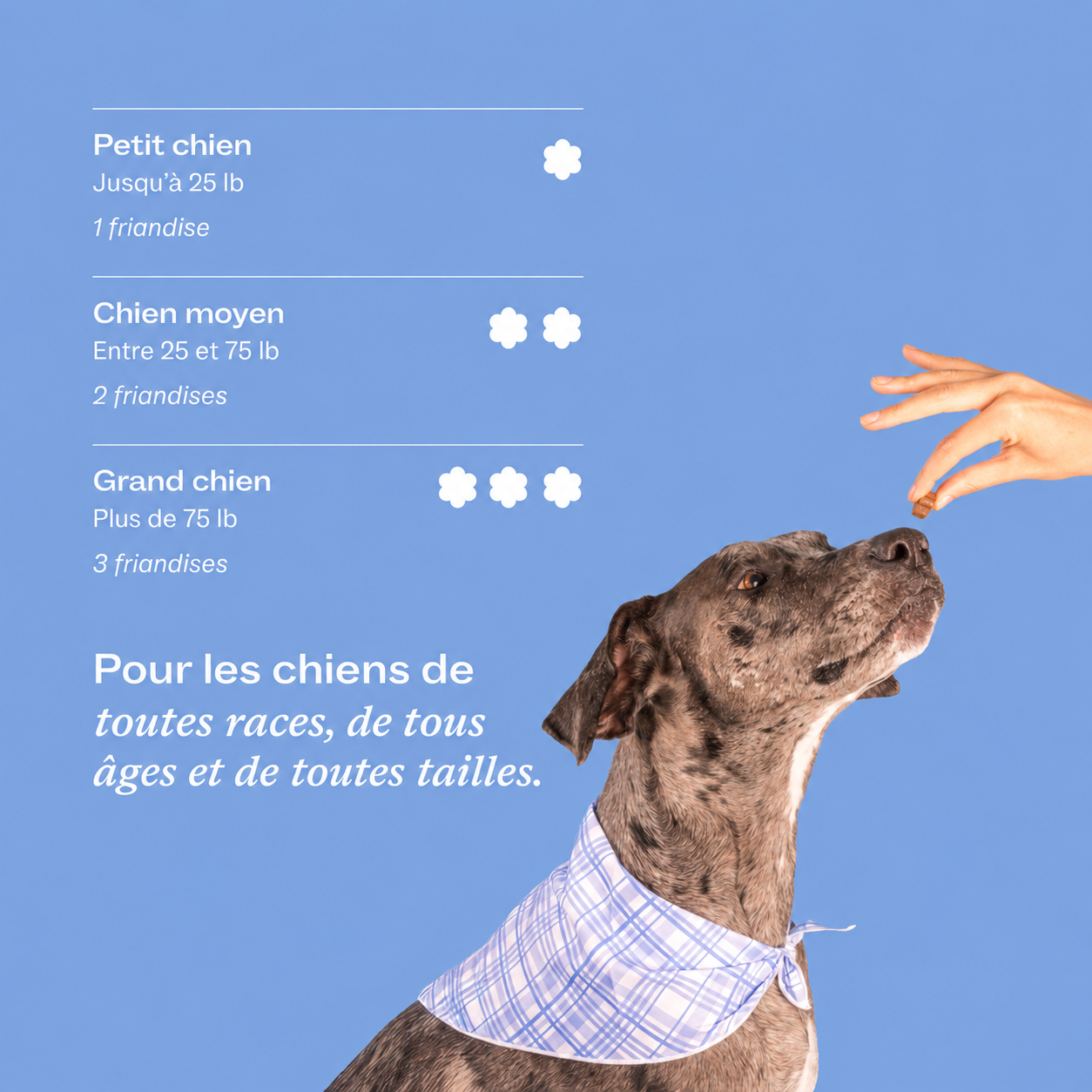 DM-01™ Multivitamines quotidiennes